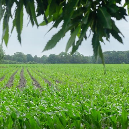 Hermans Huisje: Het Mooiste Uitzicht Van Twente? Haaksbergen Luaran gambar
